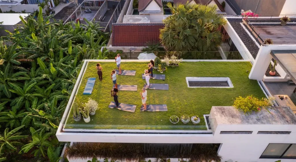 Wellness Mindfulness